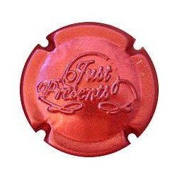 Just Presents 31539 X 113824