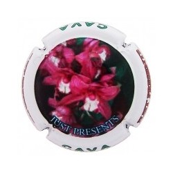 Just Presents X 128623