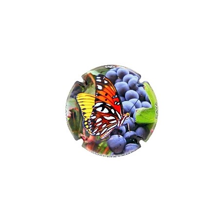 Butí Masana X 138680