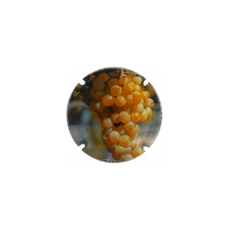 Olivella i Bonet X 137552
