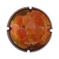 Giró Ribot X 106273