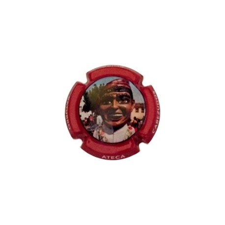 Boiba X 163653 autonómica