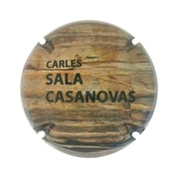 Sala Casanovas 152571