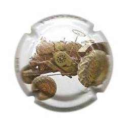 Joan Sardà X 078556 1952 -...