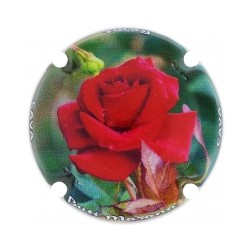 Butí Masana X 210744