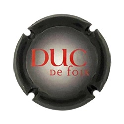 Duc de Foix X 253474