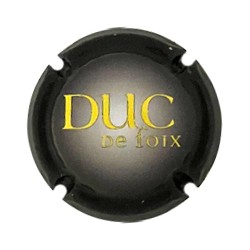 Duc de Foix X 253472
