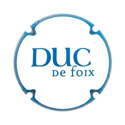 Duc de Foix X 231206