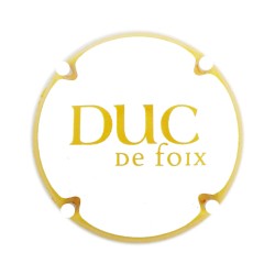 Duc de Foix X 231207