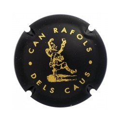 Can Ràfols dels Caus X 184069