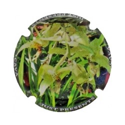 Just Presents X 156093