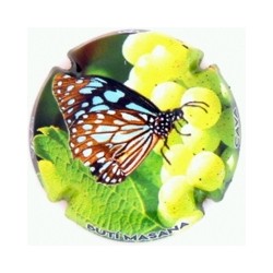 Butí Masana X 138408