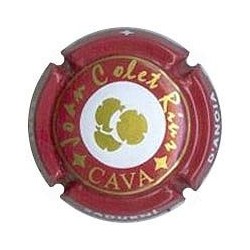Joan Colet Rius X 095391 V...