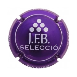 Joan Ferrer Bigorra X 137722