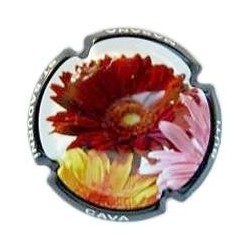 Butí Masana 10258 X 002085