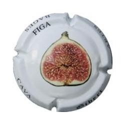 JG Gibert Artes X 063119 V...