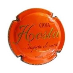 Hosta X 040827 V 13880