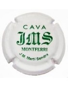 Josep M Marti i Sendra